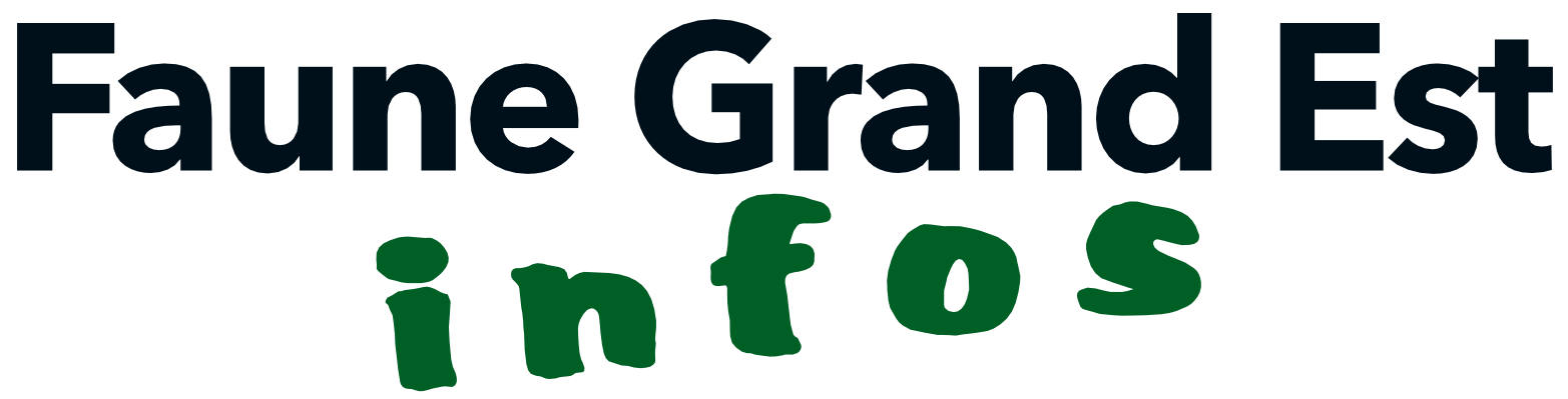 Faune Grand Est Infos